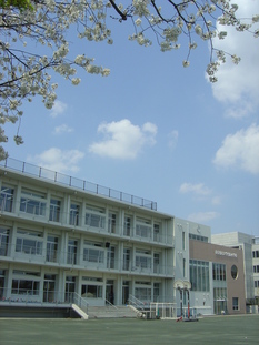 桜と新校舎外観