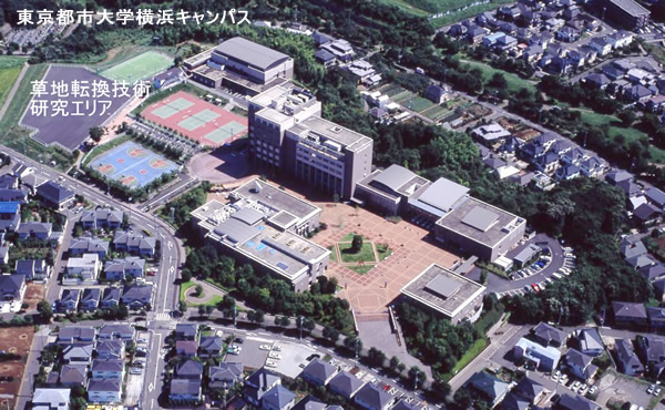 研究に舞台となる東京都市大学横浜キャンパス（環境情報学部）