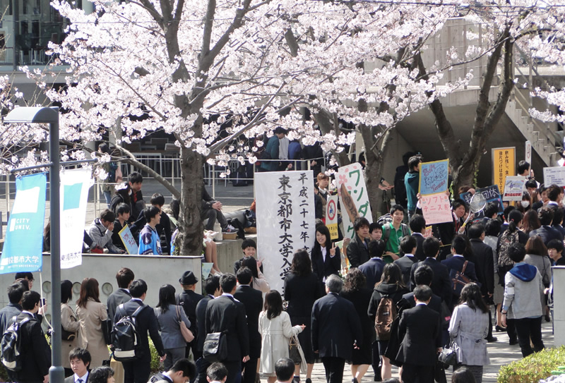 东京都市大学 桜満开のキャンパスで入学式を挙行